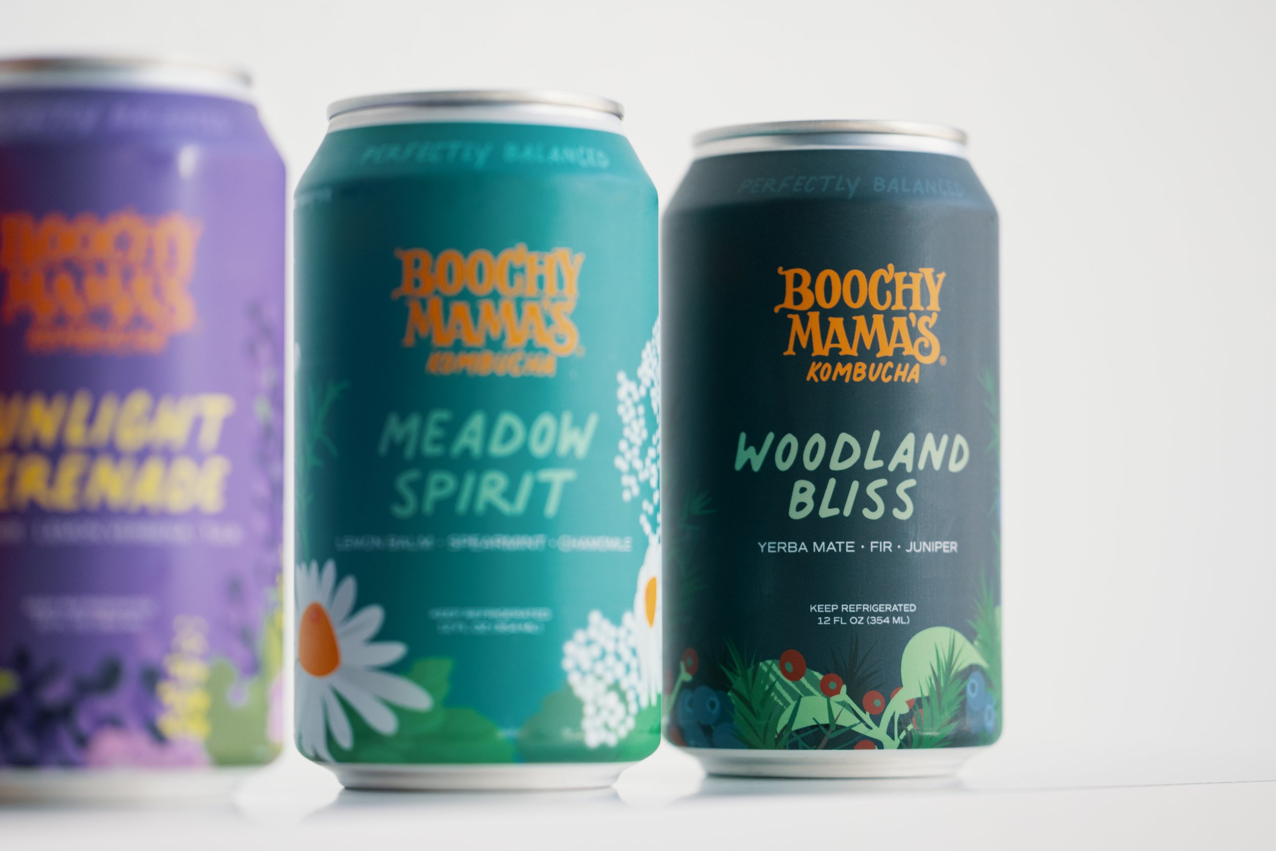 Shop Kombucha, Botanical Tonics & More — Boochy Mama's Kombucha